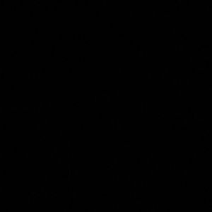 Meet your Posher, Martha